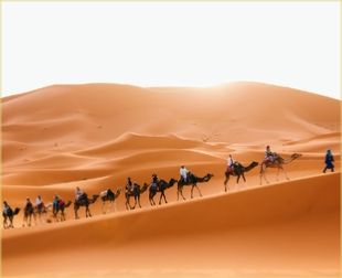 3 day Tour from Marrakech to Merzouga and Fes