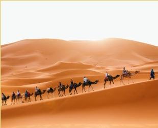 3 day Tour from Marrakech to Merzouga and Fes