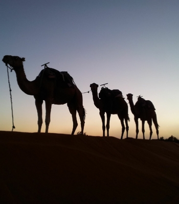 Destinations to Visit in Private Morocco Tour
