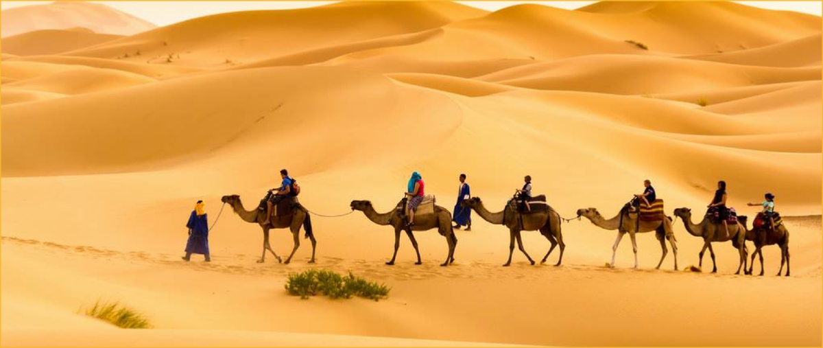 Tours from Marrakech