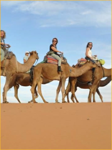 9 day tour of Imperial cities departure Casablanca