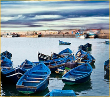 Atlantic coast Day trip to Essaouira