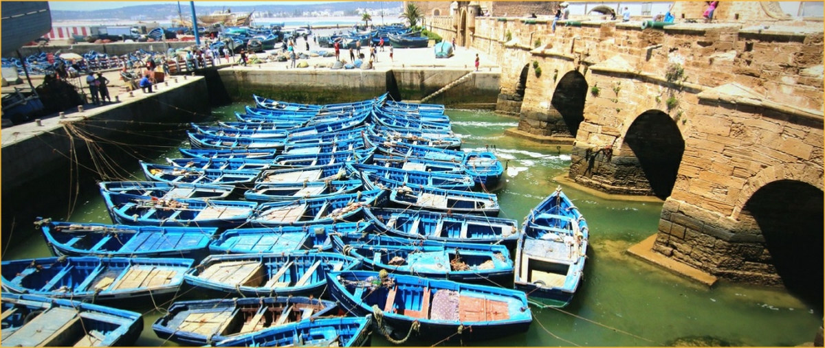 Atlantic coast Day trip to Essaouira