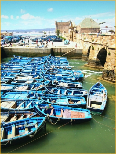 Atlantic coast Day trip to Essaouira