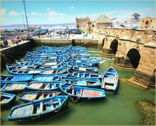 Atlantic coast Day trip to Essaouira