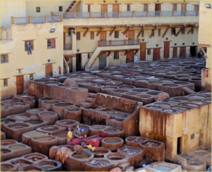 Day excursion in medina of Fes