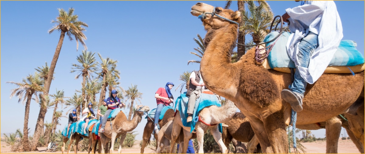 Marrakech activities and Thngs To Do