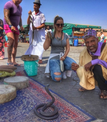 Marrakech activities