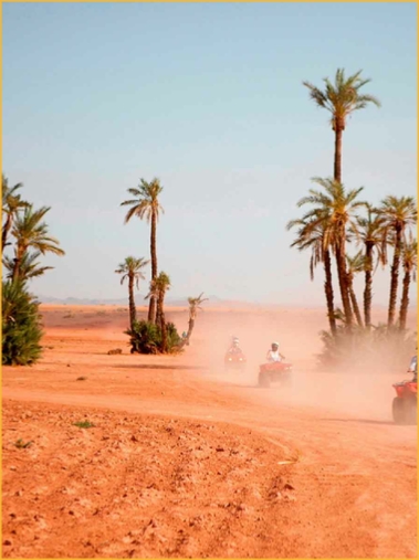 Quad and Buggy in Sahara