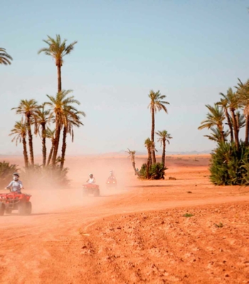 Marrakech activities