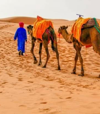 Accommodation for Private Tour in Morocco