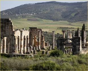 Day trip from Fes to Volubilis & Meknes