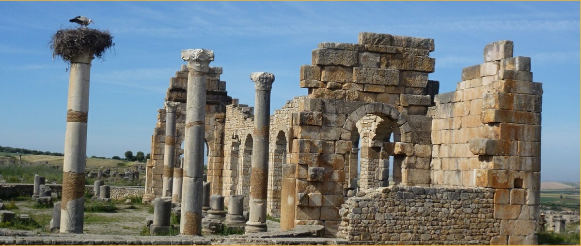 Day trip from Fes to Volubilis and Meknes