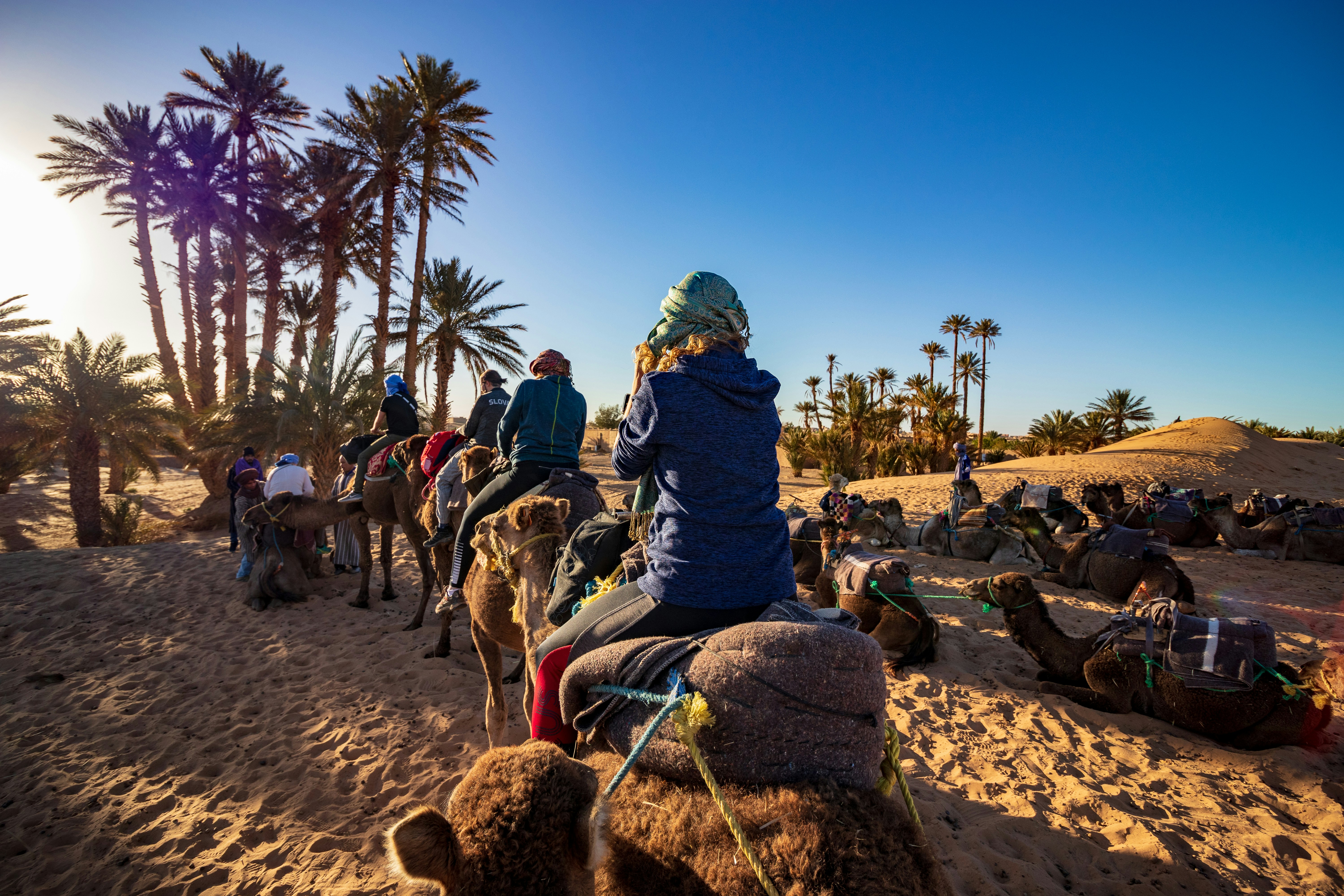 Palmeraie Camel Ride