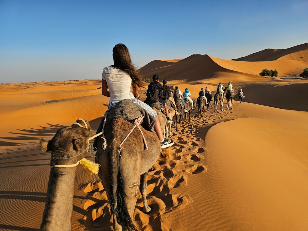 Merzouga Sahara Quad & Buggy Adventure